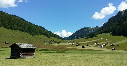 Leitner Barbara Mag Büro für Freilandökologie und Naturschutzplanung in Graz