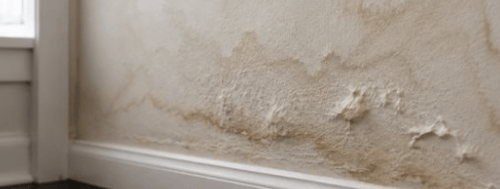 Water Damage Restoration 1 Reno-Tahoe