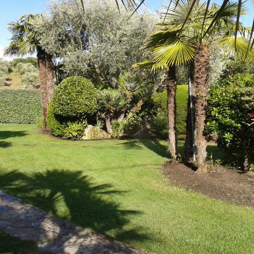 Green Art S.n.c. di Satgiu Gionvanni e Scanu Salvatore Foto Pgol