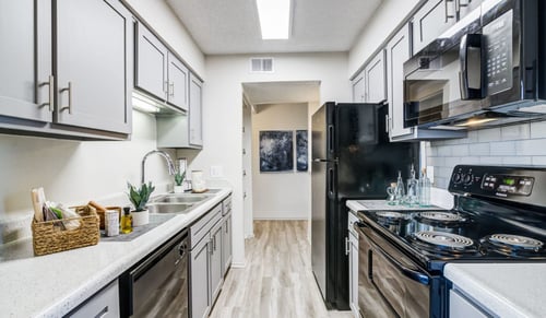 Belmont Estates - Modern Kitchen With Sleek Gray Cabinets and Stainless Steel Appliances