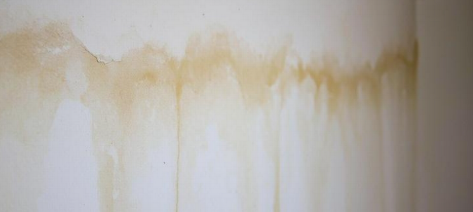 Water Damage Restoration 1 Reno-Tahoe
