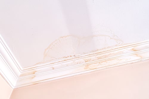 5 Early Signs of Leaky Pipes Behind Your Walls