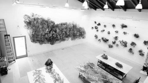 overview of art exhibit