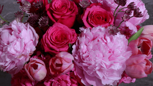 variety of pink flowers