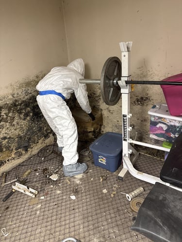 a Restoration 1 of Mt. Pocono technician in protective equipment remediates mold from a property