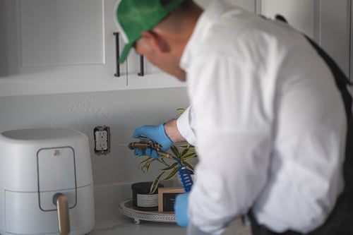 Indoor pest treatment by First Line Pest Defense technician.