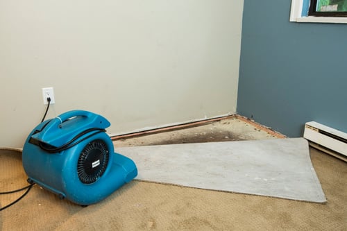 water damage greater charlotte