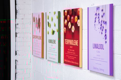 Weed dispensary near me