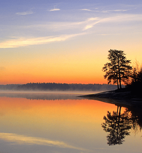 A serene sunset over a calm lake, with silhouetted trees reflecting on the water's surface and soft mist rising from the shore.