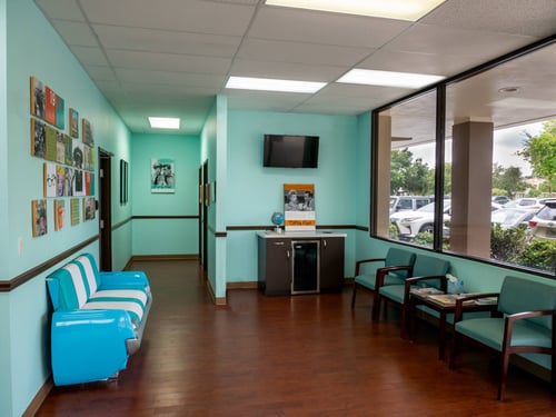 VIPcare South Venice interior
