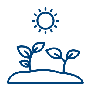 plants growing under the sun icon
