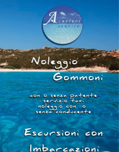 Noleggio Gommoni Albatros Service Foto Web 1