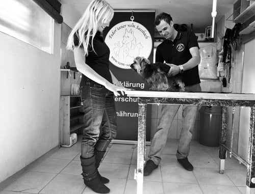 Vom Sassbach - Hundefriseur I Zuchtstätte - Canis Lupus Spiritus - Michael Schantl in 8092 Mettersdorf