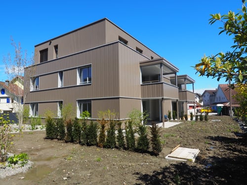 2 MFH Heldstrasse Widnau