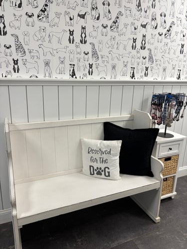 White bench with “Reserved for the Dog” pillow and leashes in the lobby of Playtime Pet Resort Exeter.