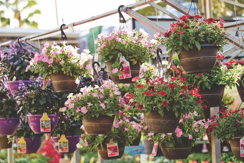 Garden Center at The Home Depot