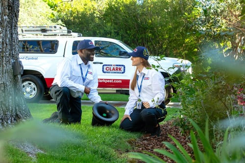 Clark Pest Control offers pest inspections, pest identification and trusted pest control solutions.