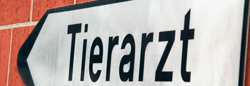 Tierarzt  St. Gallen Dr. med. vet. Bentivoglio
