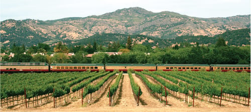 Train in Vineyards