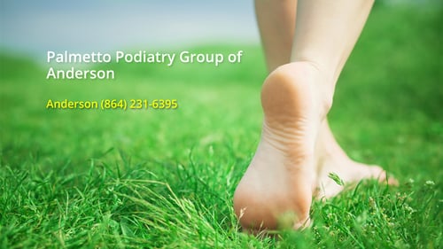 Palmetto Podiatry Group of Anderson
