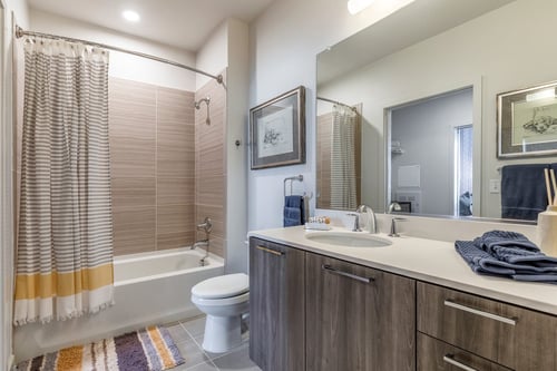 Bathroom area at Trove Apartments, Virginia