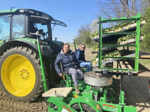 Krautexpress Laufer