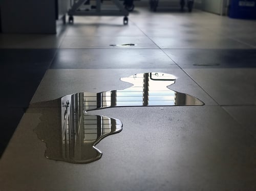 water damage ballantyne