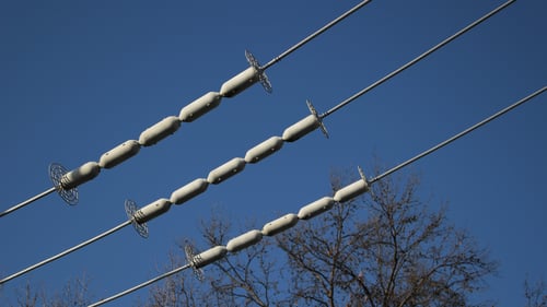 Critter Guard Line Guard product shown protecting utility power lines