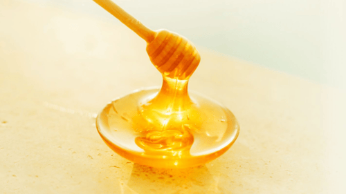 honeycomb holding light colored honey