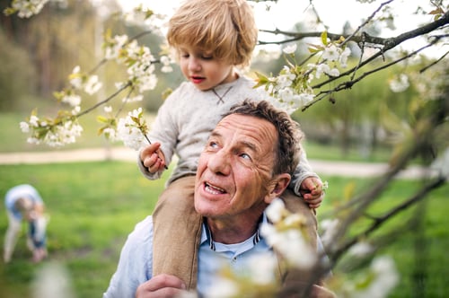 grandfather with his grandson on his shoulders