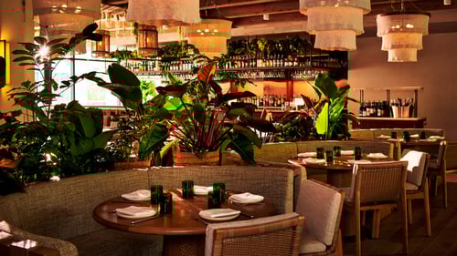 Dining room at La Loba restaurant.