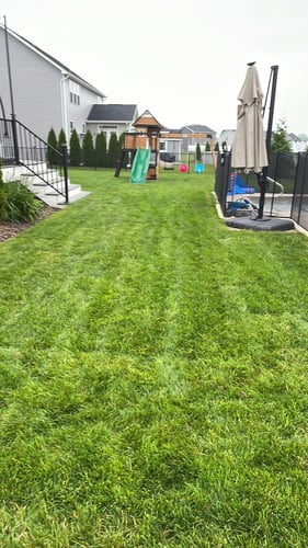 Lawn care services in Rochester, NY
