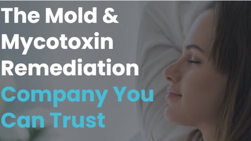 A Company You Can Trust