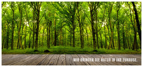 Schöll Holzbaumeister GmbH