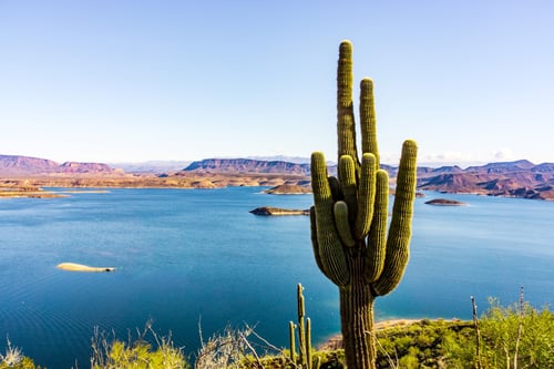 Fiber internet in Peoria, AZ