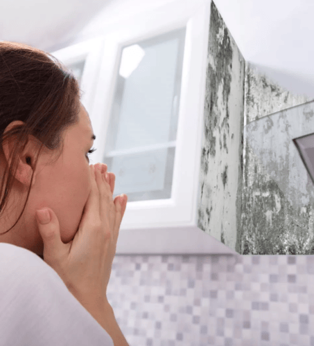Mold Remediation Restoration 1 Reno-Tahoe