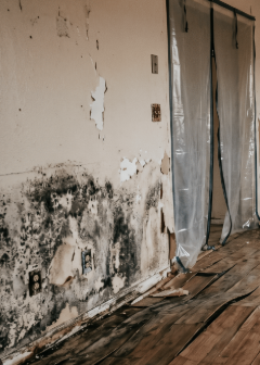 Water Damage Restoration 1 Reno-Tahoe