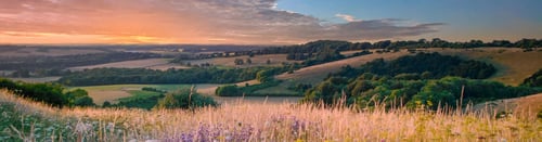 South East Rural Land Agents banner image