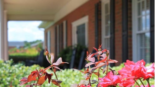 Lord & Stephens Funeral Homes
4355 Lexington Rd
Athens, GA 30605