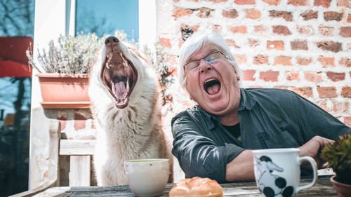 Tiernahrung Lob Aachen Coverfoto