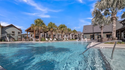 A large swimming pool with palm trees in the background at Canter in Ocala, FL 34474