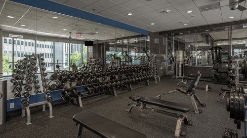 Free weight area of Trophy Fitness Downtown