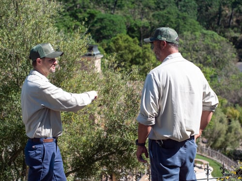 Wildlife control technicians inspecting a property for animal activity