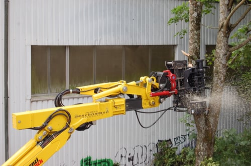 Aeschlimann Umwelttechnik AG /Rodungen