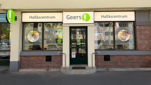 Geers Halláscentrum Kiskunfélegyháza