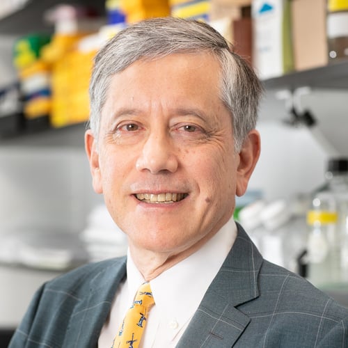 Timothy C Wang, MD