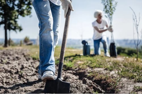Une personne en jeans creuse une tranchée avec une pelle dans un champ sous un ciel clair, tandis qu’une autre en arrière-plan plante un petit arbre, représentant le travail d’équipe dans le jardinage.