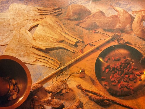 Chinesische Kräutermedizin TCM Scheer, Albisriederstrasse 290 a, 8047 Zürich