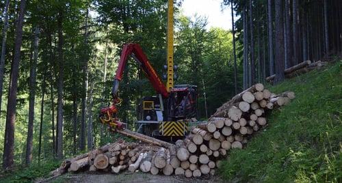 Koch Gerald GmbH in Schwanberg
