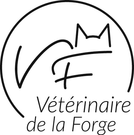 Au centre du vieux village d'Ollon
